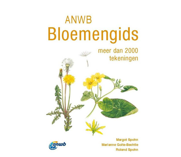 kosmos_anwb_bloemengids[1].jpg